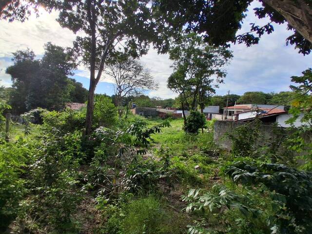 Terreno para Venda em Tibau do Sul - 5