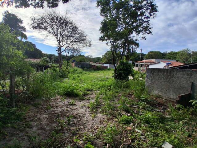 Terreno para Venda em Tibau do Sul - 4