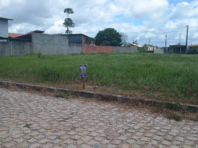 Terreno para Venda em Tibau do Sul - 2