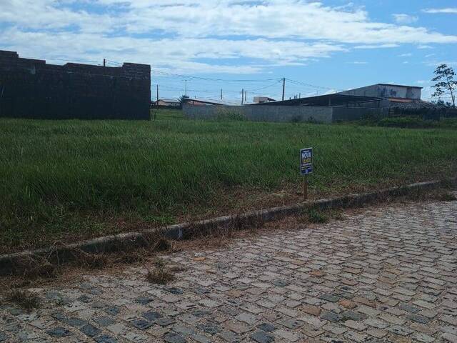 Terreno para Venda em Tibau do Sul - 4