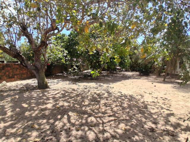 Terreno para Venda em Tibau do Sul - 3