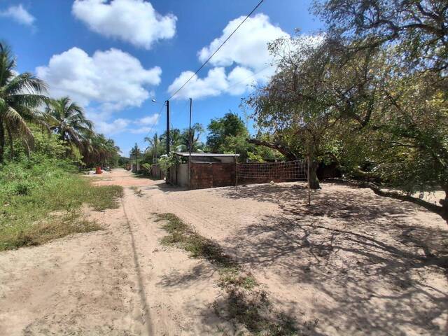 Terreno para Venda em Tibau do Sul - 4