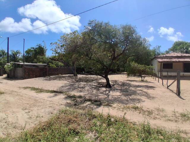 Terreno para Venda em Tibau do Sul - 2