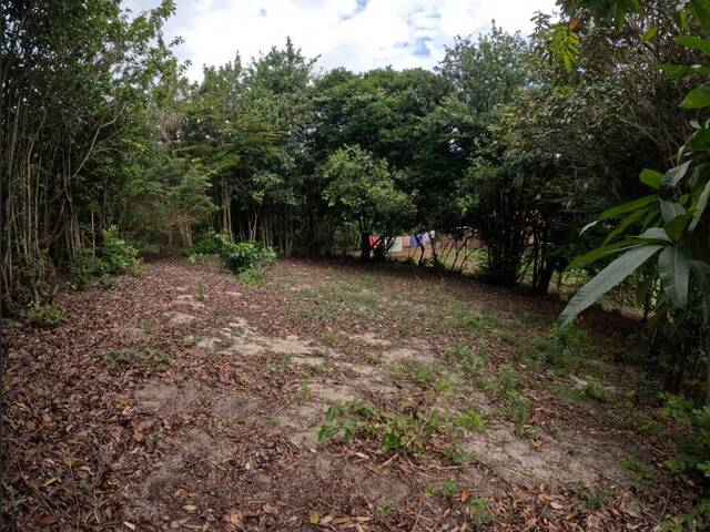 Terreno para Venda em Tibau do Sul - 5