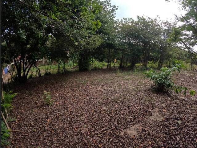 #580 - Terreno para Venda em Tibau do Sul - RN - 1