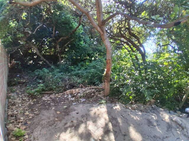 #581 - Terreno para Venda em Tibau do Sul - RN - 1