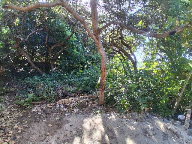 Terreno para Venda em Tibau do Sul - 5