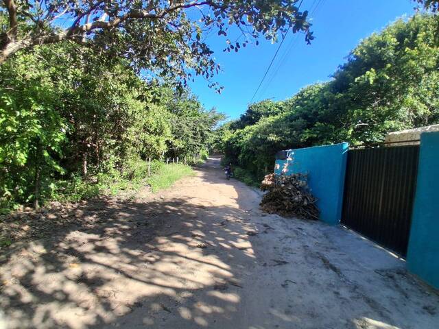Terreno para Venda em Tibau do Sul - 4
