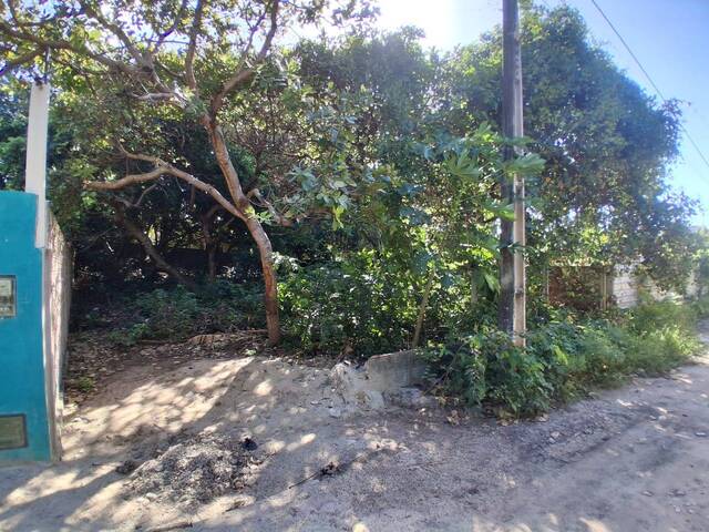 #581 - Terreno para Venda em Tibau do Sul - RN - 2