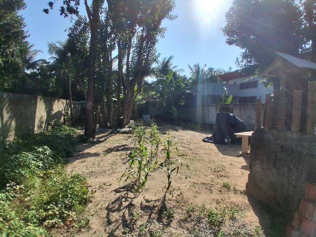 #583 - Terreno para Venda em Tibau do Sul - RN - 1
