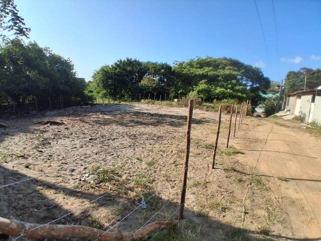 Terreno para Venda em Tibau do Sul - 4