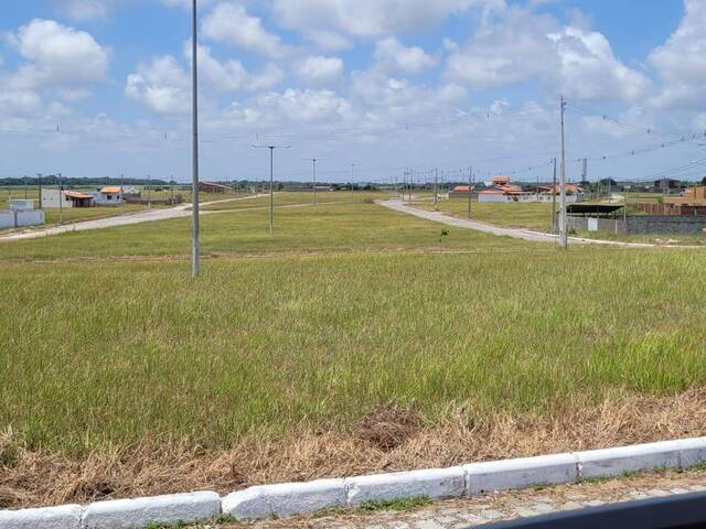 Terreno para Venda em Tibau do Sul - 5