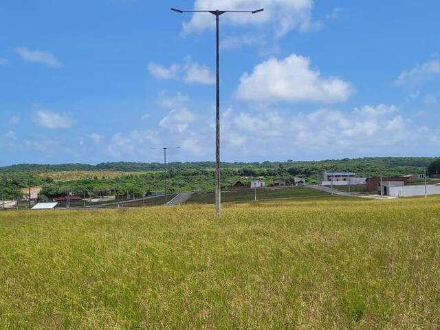 Terreno para Venda em Tibau do Sul - 4